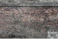 photo texture of wall brick overgrown 0004